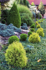 Beautiful garden with thuja shrubs and stones.