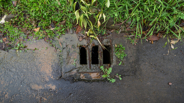 Bueiro em dia de chuva com folhas pr&oacute;xima a entrada do buraco