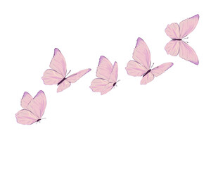 watercolor flock butterfly vector 