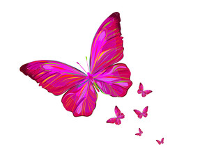 butterfly on a white background colorful monarch