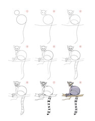 How to draw a cute little lemur. Educational page for children. Creation step by step animal illustration. Printable worksheet for kids school exercise book. Online education. Vector drawing. © nataljacernecka