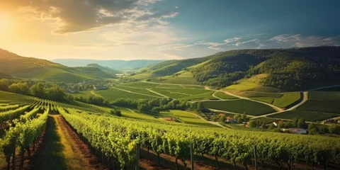 Fotobehang Beautiful landscape of Vineyards in European region in summer season comeliness © Summit Art Creations