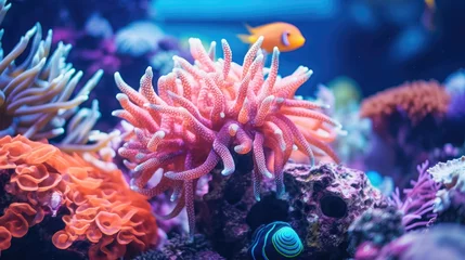 Poster Sea coral reef with close up fish wallpaper background © Irina