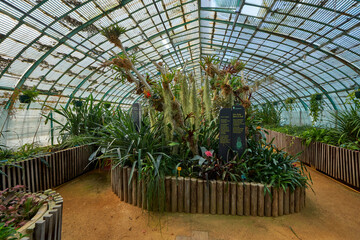 Plants and flowers in the greenhouses of Auteuil botanical garden