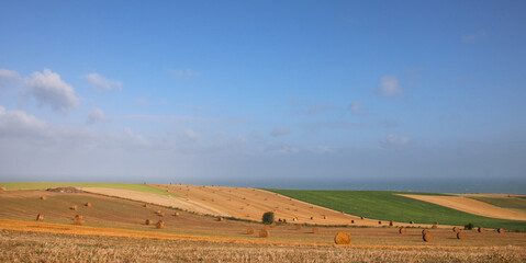 Paysage de la côte d'Opale à Escalles dans le Nord Pas de Calais au Cap Blanc Nez en été