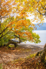 中禅寺湖の紅葉