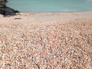United Arab Emirates. Beautiful beach. Sea view. Sharjah.