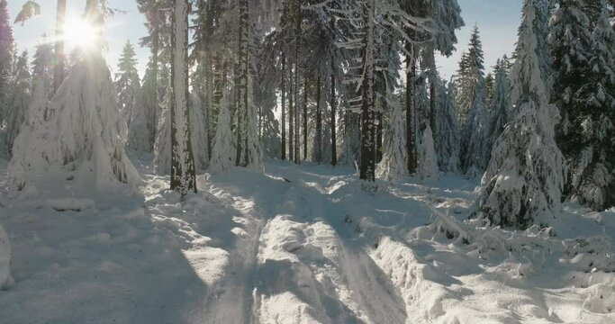 Aerial: Drone Forward Scenic View Of Snowy Forest In Winter Season - Oberhof, Germany