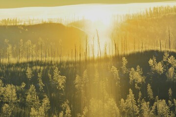 Sunny winter day with golden warm light pillar