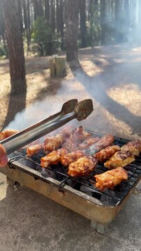 Grilled chicken pieces in the pine tree forest. Spicy marinated chicken wings and legs on barbecue, BBQ grill. Vertical Video Close up Footage
