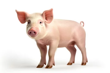 Fotobehang Little pig isolated on white background.generative ai © Ivan