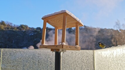 Wild Birds Food Sunflower Seeds in Winter Feeder Box
