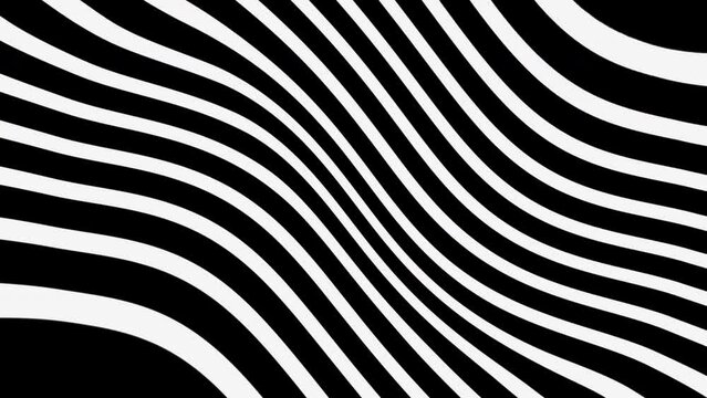 Hypnotic Zebra Zine Looping Pattern Background