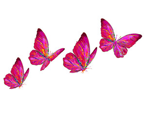 set of butterflies colorful brush painful