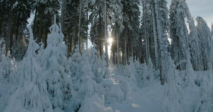 Aerial: Drone Forward Scenic Shot Of Tranquil Frozen Forest Against Sky - Oberhof, Germany