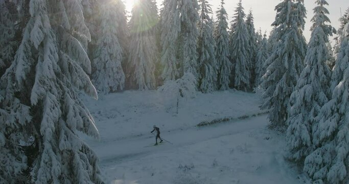 Aerial: Drone Upward Shot Of Man Walking With Ski Poles In Frozen Forest Against Clear Sky - Oberhof, Germany