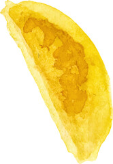 Watercolor painted tomato cherry. Hand drawn fresh food design element isolated on white background.