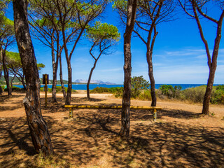 Pineta Agrustos, Budoni, Italy