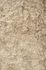 Dried Mud Cliffside Along Smoky Creek