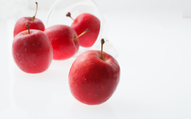 姫林檎　　白バック