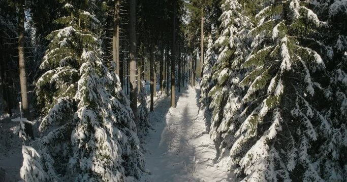 Aerial: Drone Forward Scenic Shot Of Tranquil Snowy Forest During Tranquil Winter - Oberhof, Germany