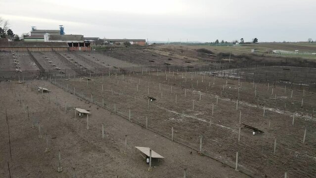 Huge aviary with pheasants in countryside in Ub, Serbia