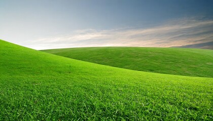 green grass field on white background