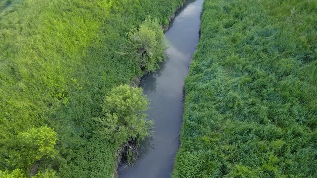 Drone flies around river Ub surrounded by greenery and agricultural fields in Serbia