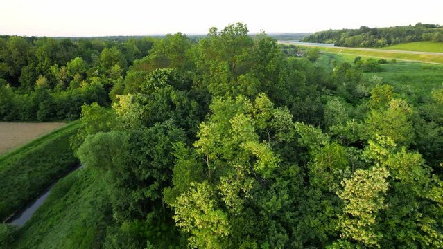 Flight above lush green foliage on riverbank of Ub, Serbia in sunny day
