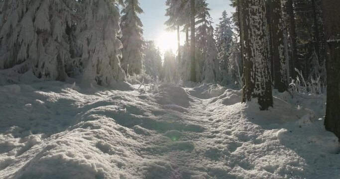 Aerial: Drone Forward Beautiful Shot Of Tranquil Forest During Snowy Weather - Oberhof, Germany