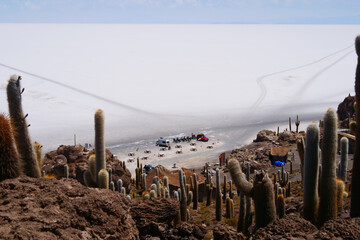 View of Gian cactuses and Salar de Uyuni Salt Flat or lake, a popular travel destination, from ...
