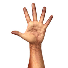 Hand Creature Gesture Symbol Finger isolated 3D render Ilustration