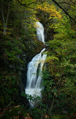 Treasure of Sage's Ravine