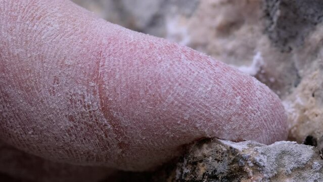 Close-up of a climber's fingers