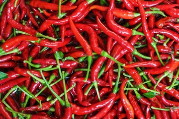Dried Red Chili Peppers Popular Spice, Red Chill wallpaper,  Red Chili background.