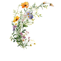 Watercolor Wildflower border coloring 