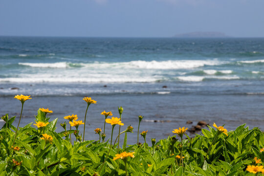 The view of marieta islands from punta de mitas beach