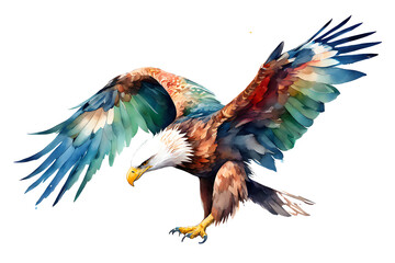 eagle colored watercolor illustration white background PNG  