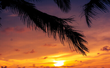 Fototapeta premium sunset on the beach
