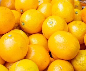 Citrus fruits at the market display stall