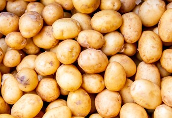 Potatoes at the market display