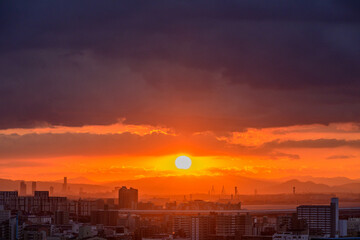 都市の夜明け。神戸の高台岡本梅林公演より神戸市街地と大阪市街地をのぞむ