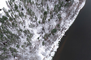 Aerial view over the winter forest growing on the river bank, high contrast vertical view of the trees. Lithuania