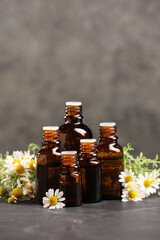 Bottles with essential oils, chamomile and thyme on grey textured table. Space for text