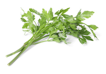 Sprigs of fresh green parsley leaves isolated on white