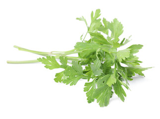 Sprigs of fresh green parsley leaves isolated on white