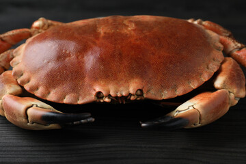 Delicious boiled crab on black wooden table, closeup