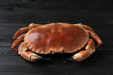 Delicious boiled crab on black wooden table