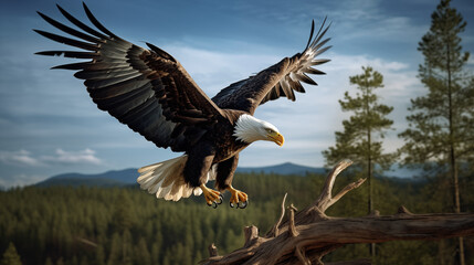 Obraz premium Graceful Descent: Eagle on Tree Top with Ample Copy Space.