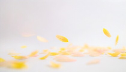 Fototapeta premium Bright and beautiful petals dance